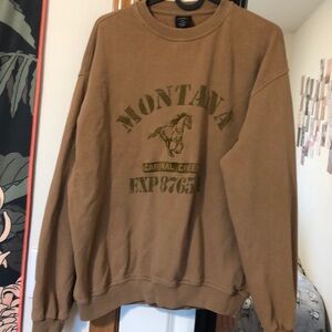 Urban outfitters brown oversized sweatshirt